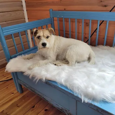 Gallela Hosted By Hygge Host * Рованиеми