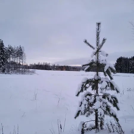 Вилла Gallela Hosted By Hygge Host *