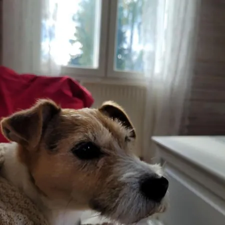 Gallela Hosted By Hygge Host Вилла Рованиеми