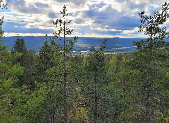 Gallela Hosted By Hygge Host *