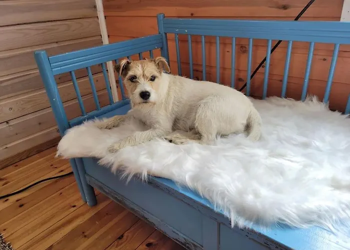 Gallela Hosted By Hygge Host * Rovaniemi