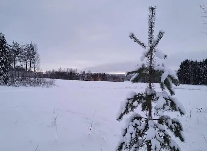 别墅 Gallela Hosted By Hygge Host *