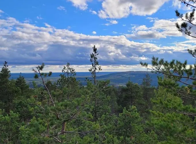 Gallela Hosted By Hygge Host 罗瓦涅米