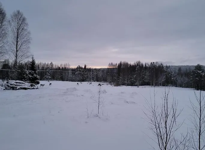 别墅 Gallela Hosted By Hygge Host *