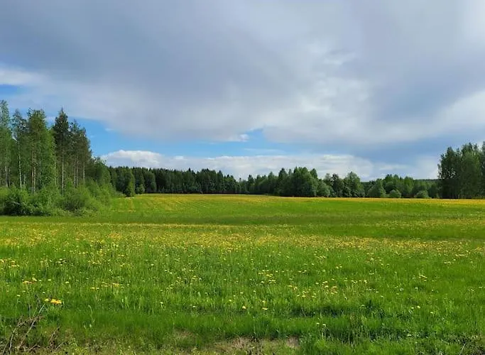 Gallela Hosted By Hygge Host Rovaniemi